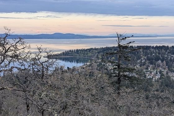 The view from the summit of Mount Douglas