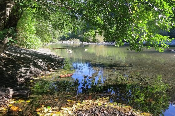Still green water in the rock pools at Sooke Potholes