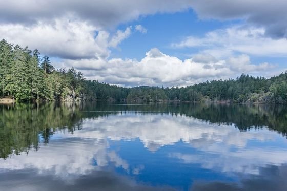Thetis Lake with forested shores