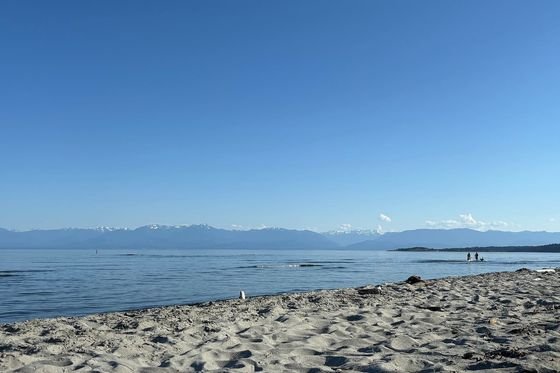 Witty's Lagoon in Metchosin
